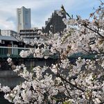 居酒屋 みえ蔵 - 