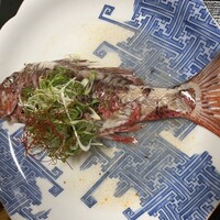 魚屋 小次朗 - 