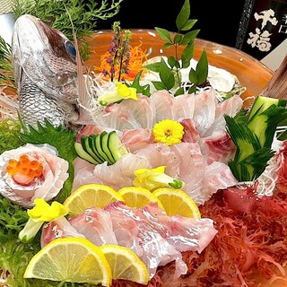 Fresh live fish from the fish tank is used to make sashimi!