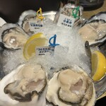 Oyster Bar ジャックポット - 