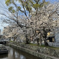 割烹 やました - 