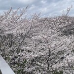 焼きもの家 慶 - 年に一度だけ賑わう反町の森公園^_^