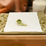 天白 - こごみ