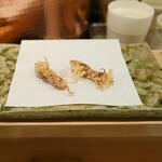 天白 - ほたるいか