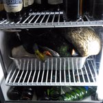 BISTRO GYORAN 魚籃 - 鳥さん