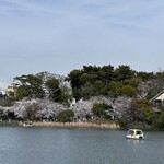 洋食屋クメキッチン - 