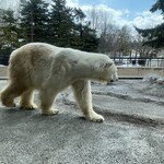 成吉思汗 大黒屋 - 