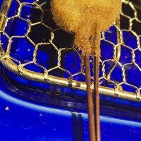 串揚げキッチン だん 梅田店 - 