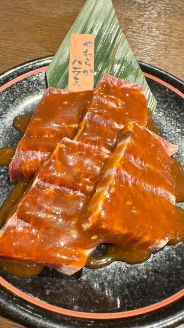 Tanimachi Sakaba Jonetsu Horumon