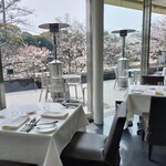 ラー・エ・ミクニ - 満開少し手前でしたがとても癒やされます。