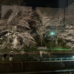 BISTROT REGAL - SAKURAディナー