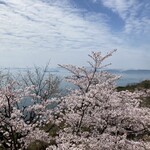 Marugo Deri - 桜が見えるよ