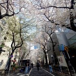 桜丘カフェ - 