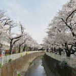 Sumibiyaki To Hagama Gohan Aitaka - 高井戸駅・神田川沿いのさくらが満開♪