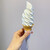 円山牛乳販売店 - 料理写真:【2024/4】ソフトクリーム