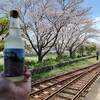 今屋のハンバーガー - ドリンク写真:北条鉄道ゆずサイダーと桜♪