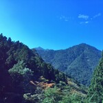 Yakushima Furusato Ichiba Shima No Megumikan Resutoran - 