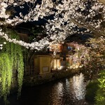 泉門天 - 美しかった〜夜桜