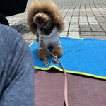 THE NUTS EXCHANGE - シェリとドックヨガ後に