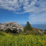 一夜城 ヨロイヅカ・ファーム - 