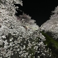 銀座アスター 新宿賓館  - 