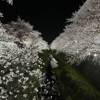 銀座アスター 新宿賓館  - 
