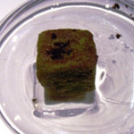 フロリレージュ - 