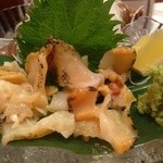 たいのたい - 北海道の真ツブ貝