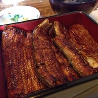 神泉いちのや - 上うな重