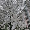 あ - 御霊神社