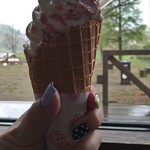 山田牧場 ミルクの里 - ソフトクリーム