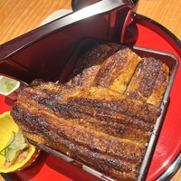 炭焼 うな富士 有楽町店 - 
