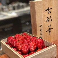 スガラボヴィー - 