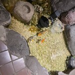 雀おどり總本店 - 