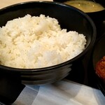 松のや 札幌駅前通店 - ご飯大（お替り無料だけど）
