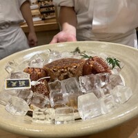 三宅輝 - 