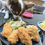 お食事処ちゃちゃ - 