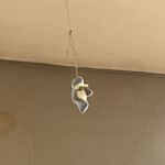 入鹿TOKYO - 厨房にぶら下がっていたイルカ