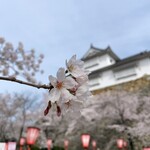 囲炉裏焼きあなみ - 津山城から下道で40分