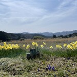 囲炉裏焼きあなみ - 春を感じる季節