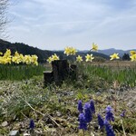 囲炉裏焼きあなみ - 