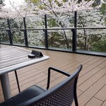 トラットリア グランボッカ - 桜の季節はテラス席がステキ
