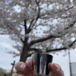 サントリー山崎蒸溜所 - 桜ノ宮でお花見しながら山崎をクイっと♪幸せ♫