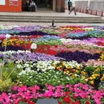 馬車道 大かわ - 