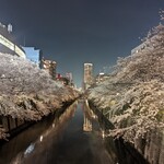 non dà clair - 目黒川の桜も満開　人出も満開