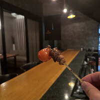 TORI TOKYO EBISU - 