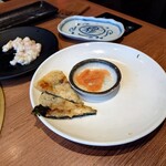 Korean Shokubou Ondoru Fujieda ten - 