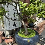 活鰻の店 つぐみ庵 - 