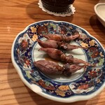 四季素材 お々岡 - ホタルイカの一夜干し