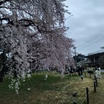 山岡家 - 一昨日の敷島公園